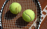 Tennis Club Adult Members